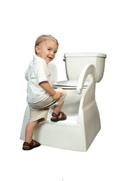 toilet steps 1