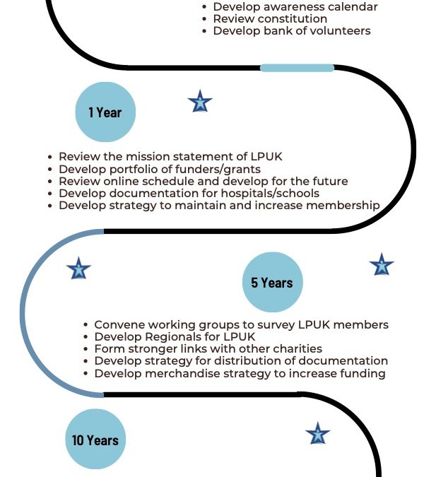 LPUK Long Term Strategy